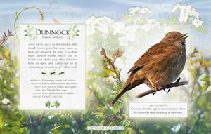 Nouveau design <span class=keywords><strong>Livre</strong></span> de carte son interactif à 12 boutons Chansons d'oiseaux audio éducatives précoces pour enfants imprimés - Product Image 5