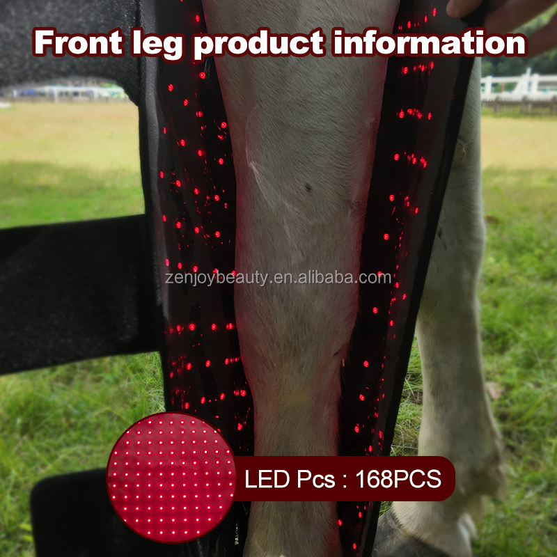 Black Front Leg(One Unit)