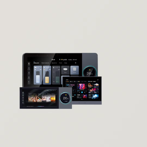 Sistema di Musica di Sottofondo Sheng Qiong F10 con Display IPS <span class=keywords><strong>da</strong></span> 10 Pollici, Controllo Vocale, Android 11, WiFi/2GB+8GB di Memoria - Product Image 2