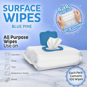 Lingettes de nettoyage robustes OEM Easy Clean XL (100 lingettes) sans chlore, lingettes de récurage multi-surfaces pour salle de bain - Product Image 2