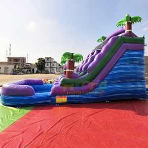 Toboggan aquatique gonflable tropical pour enfants, pour fêtes en plein air, usage commercial, avec zone de jeux aquatique. - Product Image 3