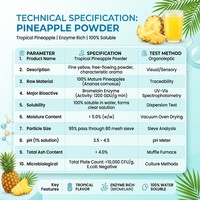 Natuurlijk Wild Blueberry Fruitpoeder met Vitamine C & Bromelaïne, Pure Food Grade, 1kg in plastic verpakking FVP-14