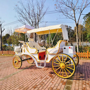 Chariot de mariage électrique à chevaux, calèche de tourisme européenne à chevaux, chariot de balnéo à chevaux - Product Image 3