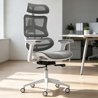 Chaise de bureau ergonomique en maille, en promotion, pour employés de bureau et étudiants, avec accoudoirs réglables, repose-pieds rétractable et roulettes silencieuses