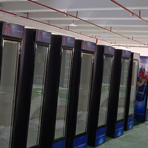 Congelatore per Bevande e Gelati, Frigorifero Commerciale con Porta in Vetro, Attrezzatura di Refrigerazione - Product Image 2