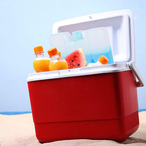 Briques de glace isothermes réutilisables en PEHD, longue durée, directement de l'usine, pour le stockage médical d'échantillons sanguins et la <span class=keywords><strong>livraison</strong></span> alimentaire en extérieur - Product Image 6