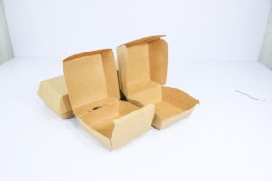 Ready Ship Custom Logo Brand Recycled Kraft Corrugated Disposable Eco-friendly Bio-degradable Fast Food Box Sushi Hot <strong>Dog</strong> Chips - Product Image 4