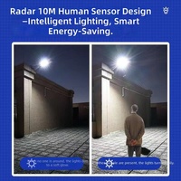 Lámpara Solar LED de 100W/200W/300W, Iluminación Solar para Exteriores, IP65, Impermeable, a Prueba de Polvo y con Protección Contra Rayos