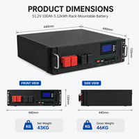 Stock UE 51.2V 100Ah 5.12kWh Batterie de stockage d'énergie solaire LiFePO4 pour serveur montable en rack avec BMS intelligent CAN RS485 OEM Tout-en-un 5-32kW