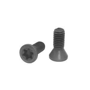 สกรูหัวทอร์กซ์สีเทา M3.5x10 สำหรับที่จับเครื่องมือตัดกัด D6.0 - Product Image 1