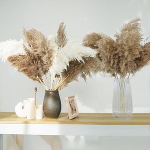 <span class=keywords><strong>Plumeau</strong></span> en plumes séchées de haute qualité, grand et moelleux, herbe de la pampa, roseau, écologique, vente en gros personnalisée à guichet unique, événements, style d'intérieur - Product Image 5