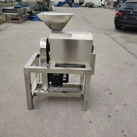 Industriële fruitontpitter en -pulper, commerciële grote machine voor het pellen en pulperen van mango, gember en jujube