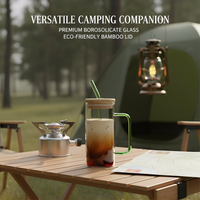 Bouteille carrée vide en verre borosilicate transparent de 13 oz avec poignée et paille, pour boissons (cola, jus, lait, thé, eau), avec couvercle en bambou