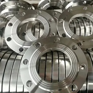 Stainless Steel Plate Flange 316L