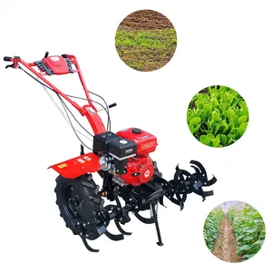 Empuje a mano Maquinaria agrícola pequeña Mini cultivador Tractor para tierras de cultivo Gasolina Arado agrícola Tiller