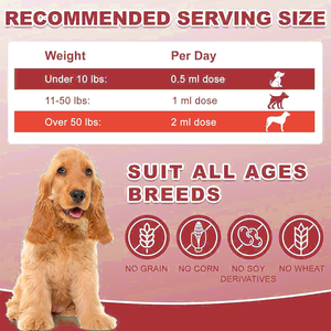 Stimulant de l'appétit pour chiens-Gouttes liquides de vitamine <span class=keywords><strong>B12</strong></span> (méthylcobalamine) stimule l'énergie de l'appétit Soutien immunitaire rapide - Product Image 4