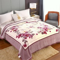 Luxus koreanische Nerz gestrickte Raschel decke Warm weich Polyester 8 kg Doppelbett 2-lagiges Cartoon-Muster Winter wurf decke