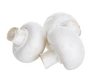 Setas de alta calidad fabricadas en China, setas blancas congeladas - Product Image 2