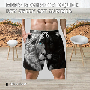 Shorts décontractés pour hommes, taille mi-haute élastique, style streetwear, en maille tissée, respirants, séchage rapide, écologiques, service OEM, art grec personnalisé - Product Image 2