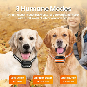 Collares dobles, Collar de entrenamiento eléctrico para perros, Collar de entrenamiento con Control remoto para mascotas, Control de ladridos de perros recargable, parada de choque - Product Image 2