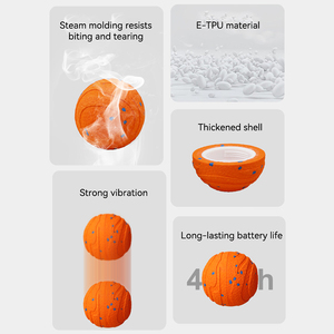 Nouveau <span class=keywords><strong>jouet</strong></span> électrique pour animaux de compagnie en E-TPU rechargeable par USB, écologique, non toxique, balle de <span class=keywords><strong>jouet</strong></span> électrique pour animaux de compagnie, batterie longue durée 400 mAh, résistant aux morsures, <span class=keywords><strong>jouet</strong></span> pour <span class=keywords><strong>chien</strong></span> - Product Image 3