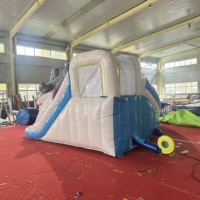 Château gonflable 5*6m avec toboggan et piscine, équipement de divertissement intérieur, maison de saut pour enfants et adultes