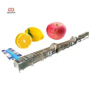 Suppliers Lemon Washer Sorter Processing Equipment Apple Cleaning, Drying, Grading and Packaging Machine