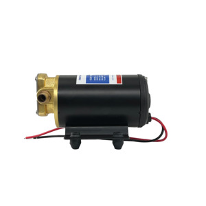 FP-18-24a DE CLASSEMENT DC 24V 18LPM Pompes à carburant à engrenages Mirco Huile diesel pour camion grue Self Preming 2.5m Pompe à liquide chimique - Product Image 3