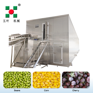 Voedselveilige IQF snelvriezer - apparatuur voor het invriezen van bonen/okra/aardbeien/blauwe bessen/mango in blokjes - Product Image 1