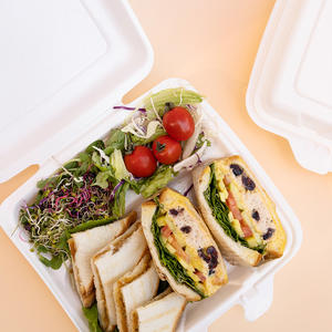 [ECO TOGO BOX] Boîte à emporter en PP expansé écologique, plateau alimentaire léger en mousse de PP et emballage de boîte à emporter écologique - Product Image 1