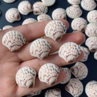 100 pièces de coquillages océaniques kawaii en résine, cabochons plats, embellissements, accessoires de bricolage, scrapbooking, décoration artisanale