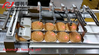 Machine d'emballage horizontale automatique de type coussin pour sacs alimentaires avec remplissage et enveloppement motorisé haute précision