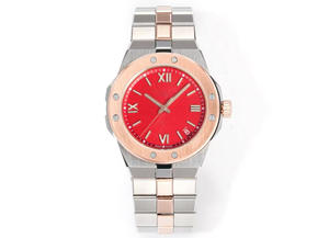 Montre mécanique automatique en acier inoxydable de haute qualité - Résistante à l'eau, lumineuse, style sportif et professionnel de luxe - Product Image 2