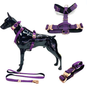 Großhandel Maßgefertigtes Luxus-Taktisches Hundegeschirr-Set Verstellbares Hundehalsband mit Leine und Roségold-Metallschnalle - Product Image 1