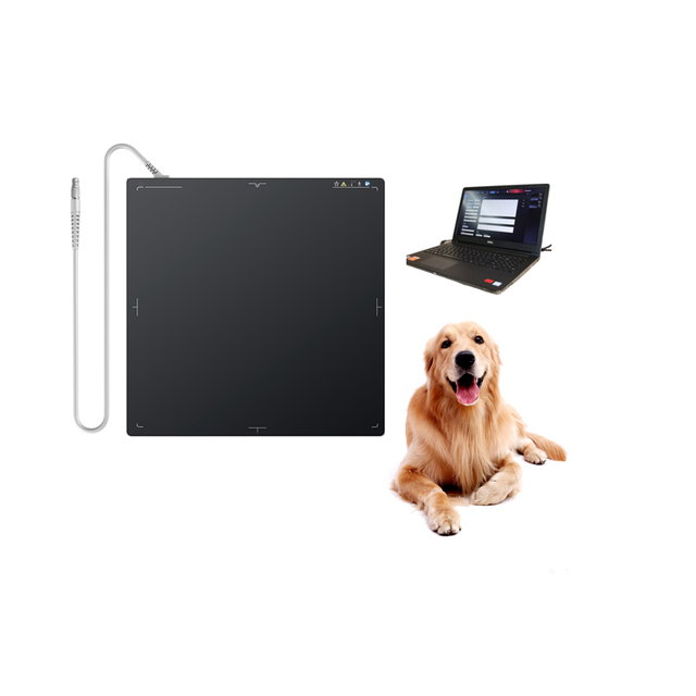 Sy-D3543-1 Iray CsI 17*17 Wired Wireless Flat Panel Detector X Ray Panel Digital X Ray Flat Panel Detector for Hospital