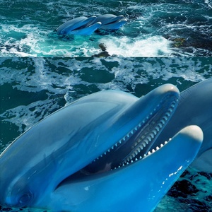 Resina epossidica liquida <span class=keywords><strong>3D</strong></span> resina epossidica rivestimento in resina epossidica resina epossidica per pavimento <span class=keywords><strong>3D</strong></span> vernice per pavimenti - Product Image 3