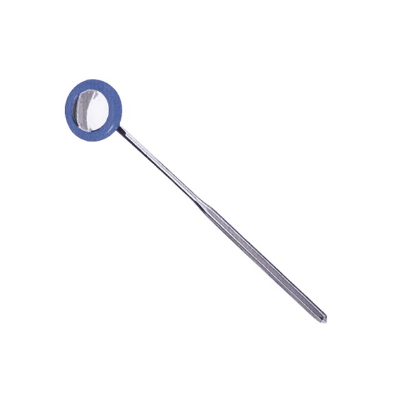CE/ISO Approved Hot Sale Medical Neurological Hammer (MT01043004)