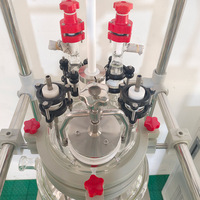 Réacteur en verre à double enveloppe de 20 L avec entrée d'azote et circulateur de chauffage pour synthèse contrôlée