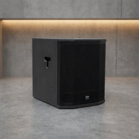 Subwoofer passif professionnel Thinuna T-12B, 12 pouces, 400W, haut rendement, pour concerts et clubs intérieurs