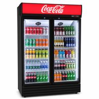 Réfrigérateur vertical sur mesure OEM, vitrine de congélation verticale, refroidisseur commercial avec 2 portes vitrées