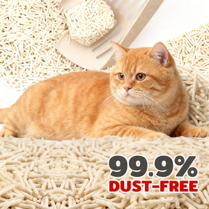 Arena para Gatos de Tofu de 6L/10L, Paquete a Granel, Alta Absorción, Aglutinación Rápida, para Tiendas de Mascotas, Venta al por Mayor - Product Image 2