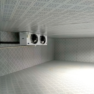 Évaporateur d'air automatique électrique solaire à compresseur scroll haute efficacité avec protection IP44 pour chambre froide de légumes, viande et poulet - Product Image 6