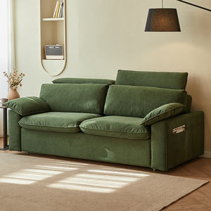 أريكة من الفانيلا عالية الجودة إخفاء سرير أريكة خضراء ثنائية الغرض تصنيع أريكة غرفة نوم أريكة كاتيل مع مرتبة - Product Image 2