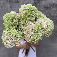 Flor Artificial de Hortensia Blanca Grande de 30 cm de Diámetro, Venta al por Mayor de Flores LUYI Chermy