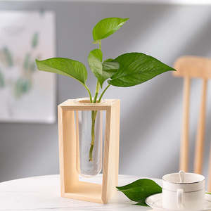 Jarrón de Vidrio Transparente en Oferta, Tubo de Ensayo para Plantas Hidrófilas, Soporte para Plantas con Marco de Madera, Soporte para Flores para Decoración de Oficina - Product Image 5
