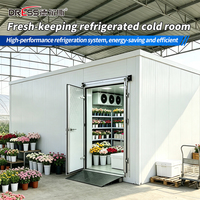 Chambre froide commerciale pour fleurs, avec contrôle de l'humidité et pré-refroidissement, pour fleuristes et fermes, sur mesure