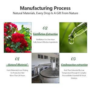 Натуральное эфирное масло перечной мяты HL, 100 чистых поставщиков, Сыпучие эфирные масла Piperita для ароматерапии, косметика - Product Image 5