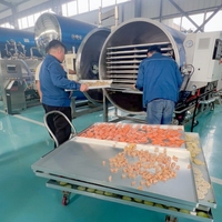 Industriële vacuüm-vriesdroger voor koffiebonen, groenten, fruit, instant huisdiertreats, huisdiertreats-lyofilisator, commercieel gebruik