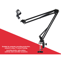 CHARMOUNT Microphone à condensateur professionnel pour studio de diffusion et d'enregistrement avec bras articulé pour instruments de musique et accessoires