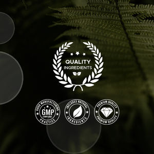 ODM OEM kapsul pembersih kustom Natural <span class=keywords><strong>Oral</strong></span> <span class=keywords><strong>Herbal</strong></span> Oregano & kapsul asam kaprilik mendukung sistem pencernaan dan usus - Product Image 6